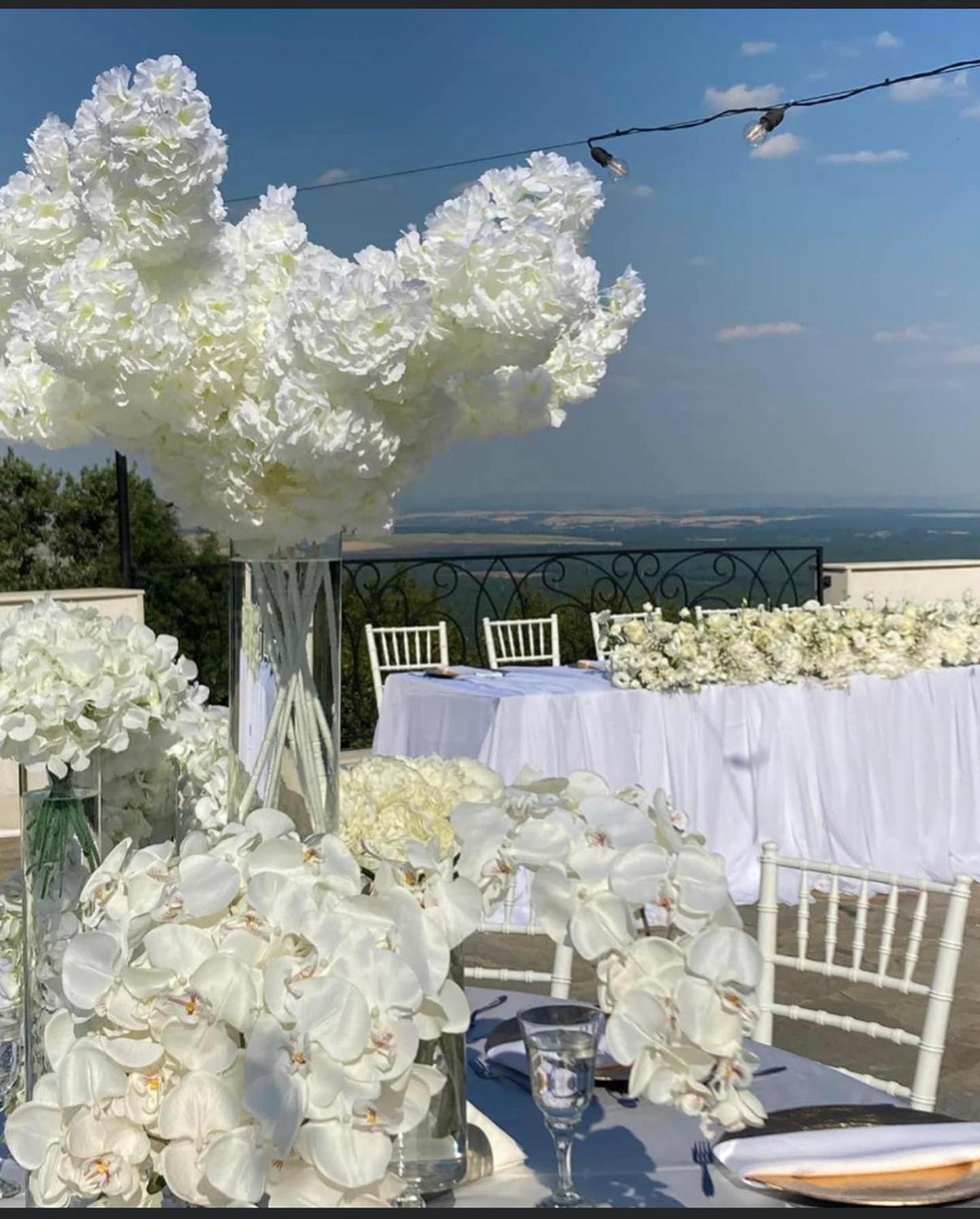 Вила Белисима, Villa Bellissima Bryastovo  Exteriör bild